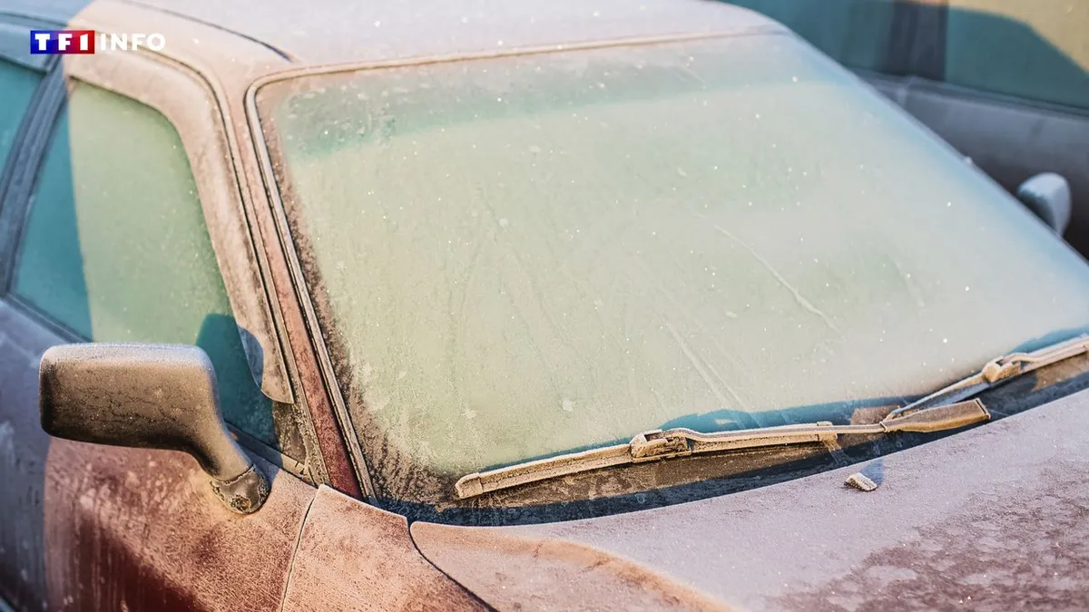 Auto's 's ochtends in de winter warm laten draaien: is dat nog nuttig of achterhaald?